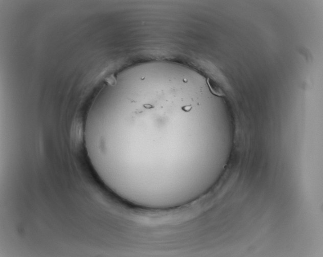 X0000113880021200910081756