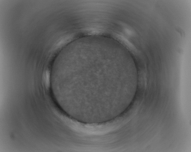 X0000113880022200910081756