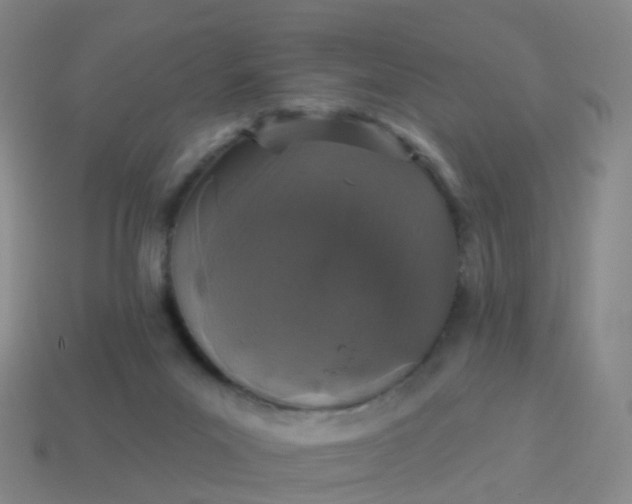 X0000113880023200910081756