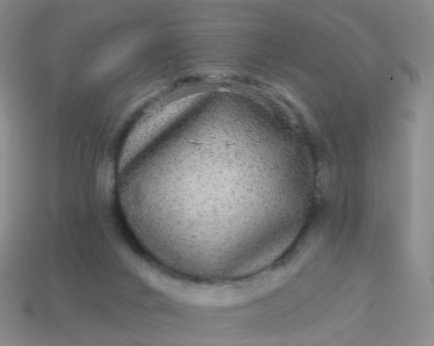 X0000113880024200910081756