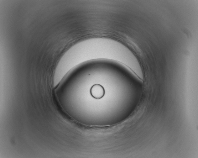 X0000113880025200910081756