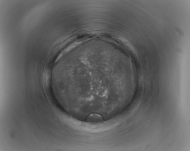 X0000113880026200910081756