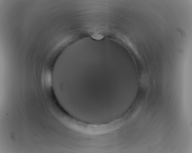 X0000113880027200910081756