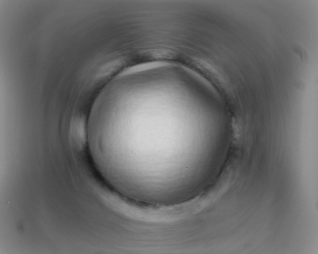 X0000113880028200910081756