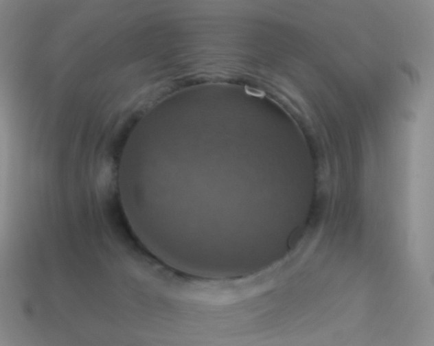 X0000113880029200910081756