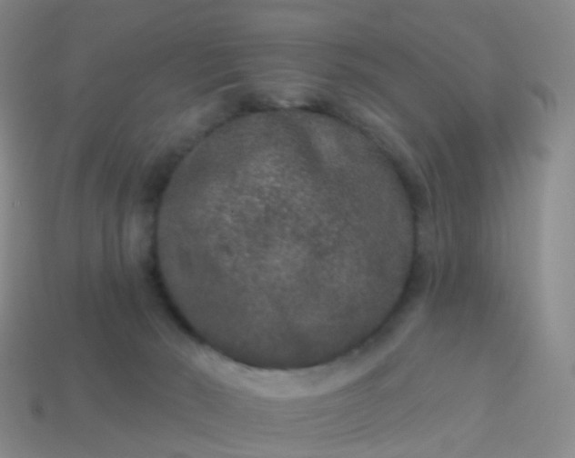 X0000113880030200910081756