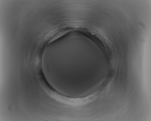 X0000113880031200910081756