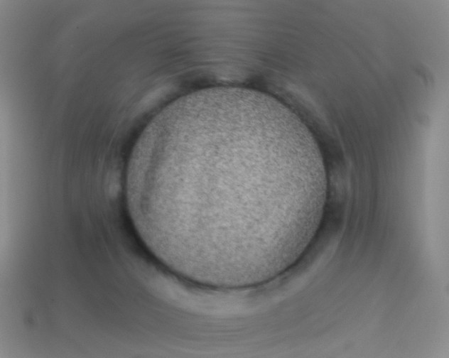 X0000113880032200910081756