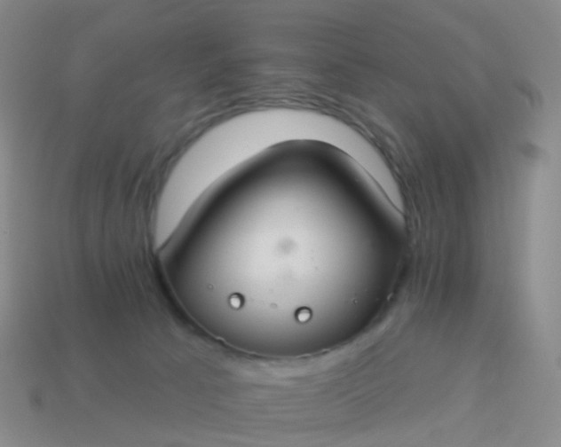 X0000113880033200910081756