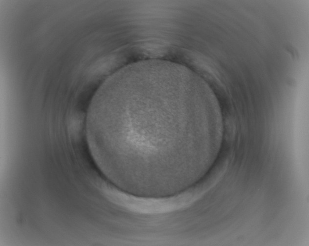 X0000113880034200910081756