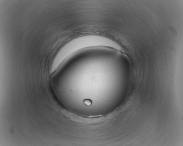 X0000113880035200910081756