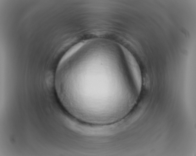 X0000113880036200910081756