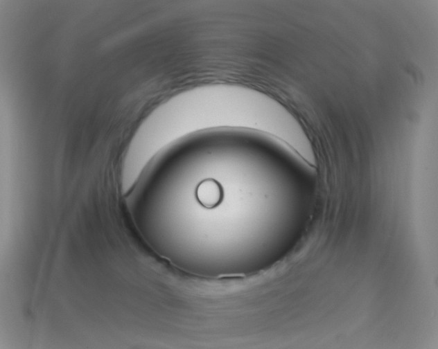 X0000113880037200910081756