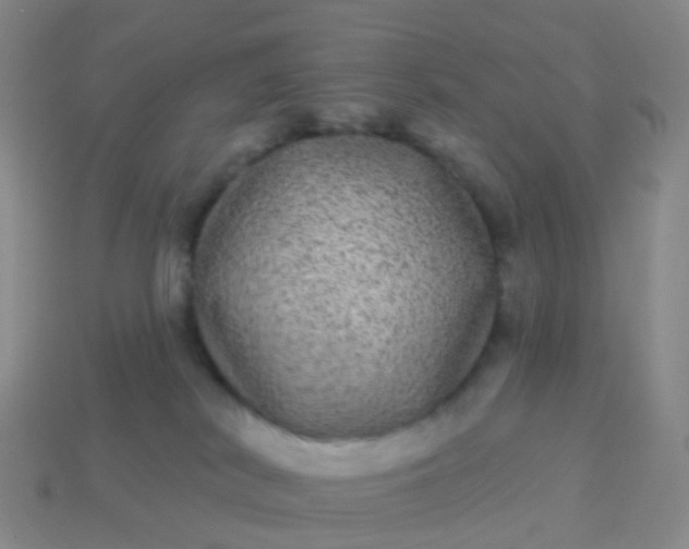 X0000113880038200910081756