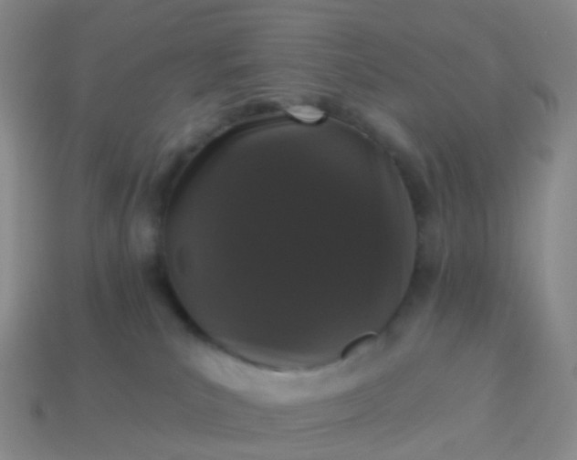 X0000113880039200910081756