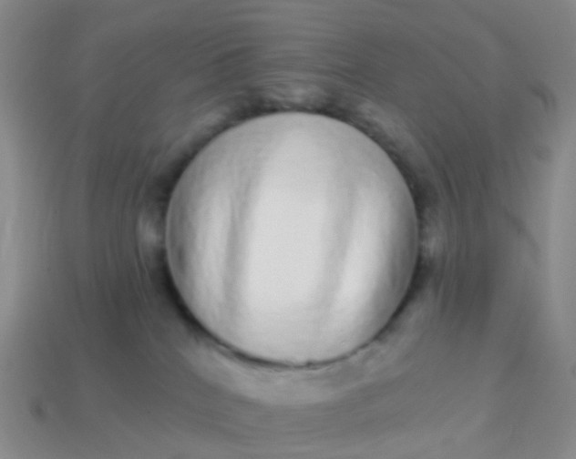 X0000113880040200910081756