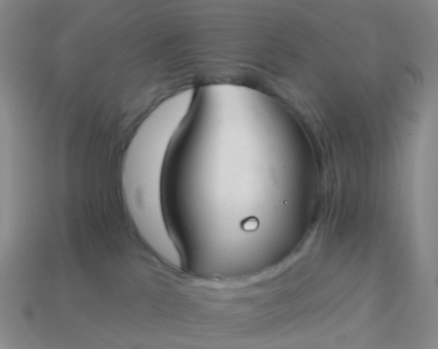 X0000113880041200910081756