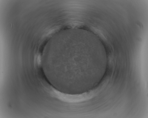 X0000113880042200910081756