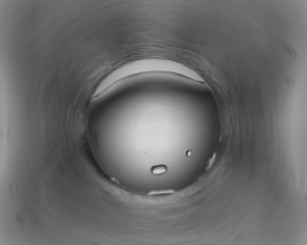 X0000113880043200910081756