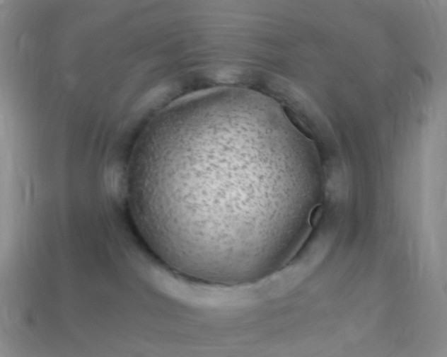 X0000113880044200910081756