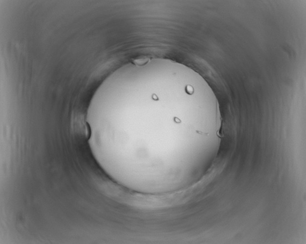 X0000113880045200910081756