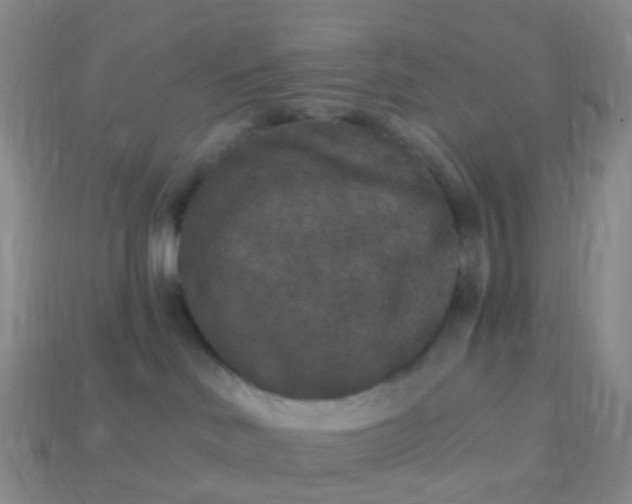 X0000113880046200910081756