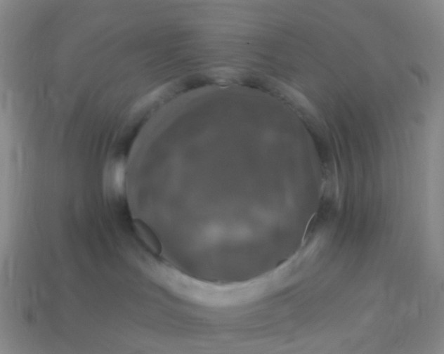 X0000113880047200910081756