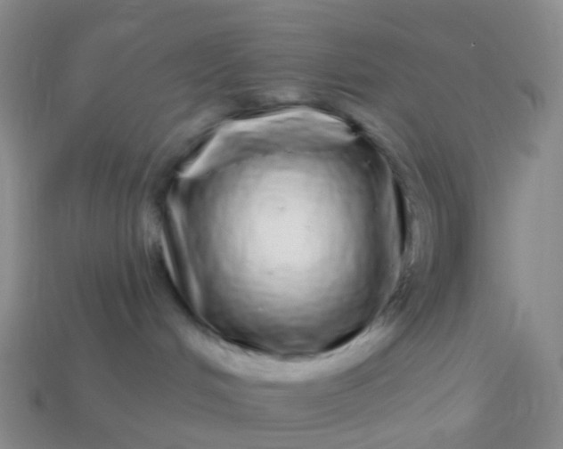 X0000113880048200910081756