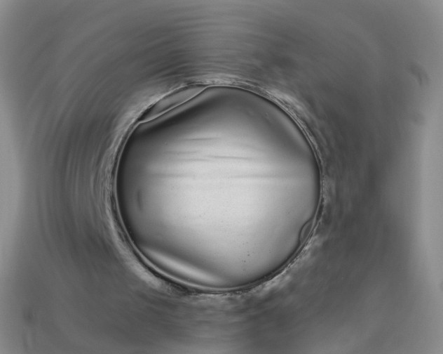 X0000113880049200910081755