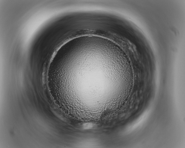 X0000113880050200910081755