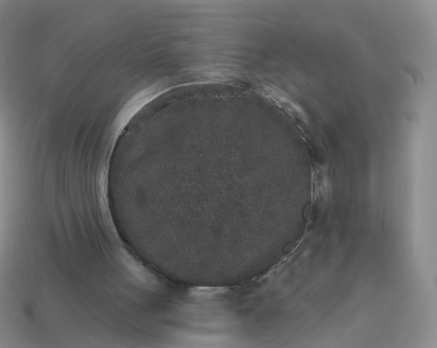 X0000113880051200910081755