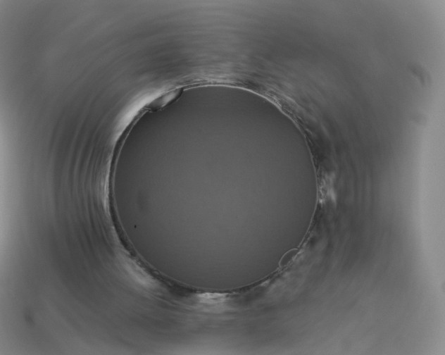 X0000113880052200910081755