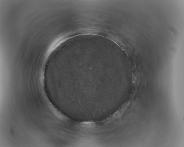 X0000113880053200910081755