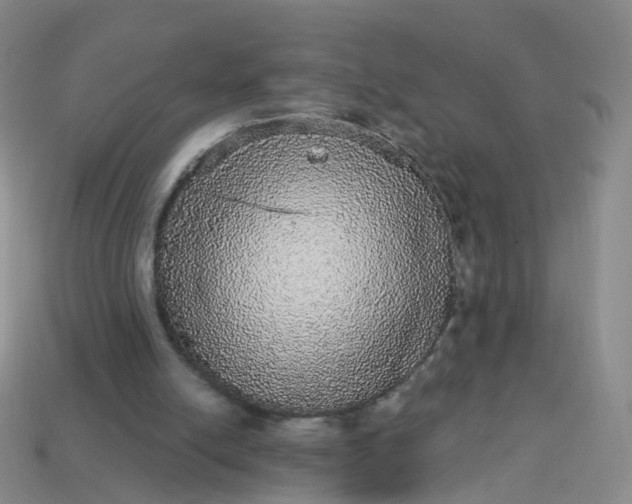 X0000113880054200910081755