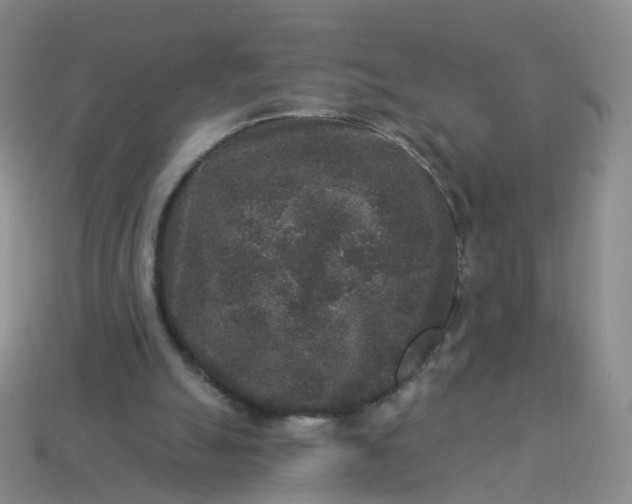 X0000113880055200910081755