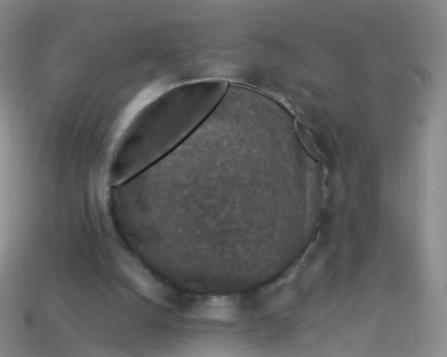 X0000113880056200910081755