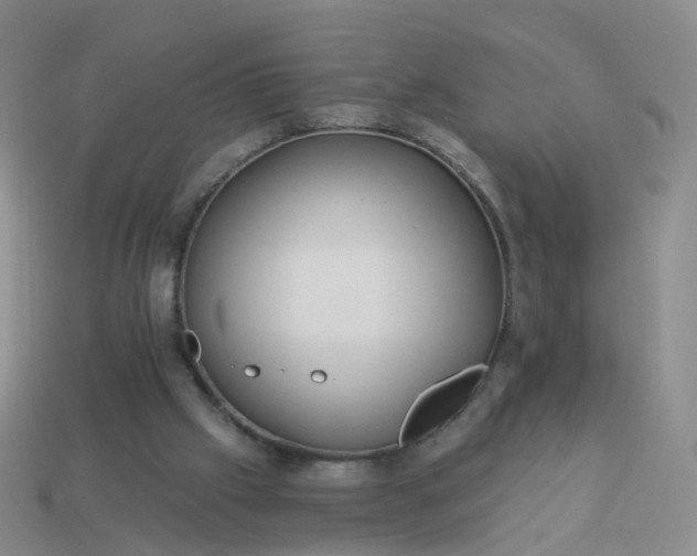 X0000113880057200910081755