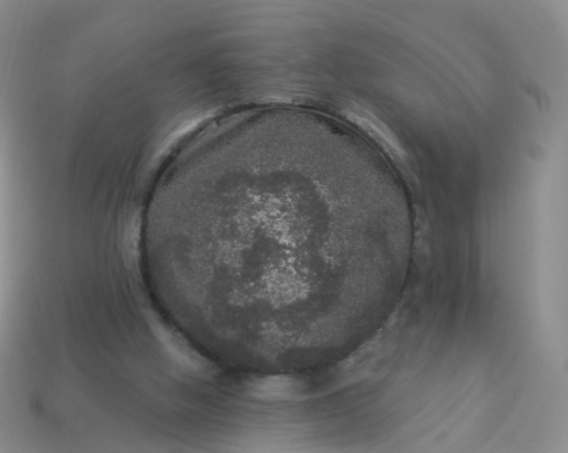 X0000113880058200910081755