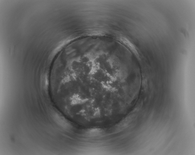 X0000113880059200910081755