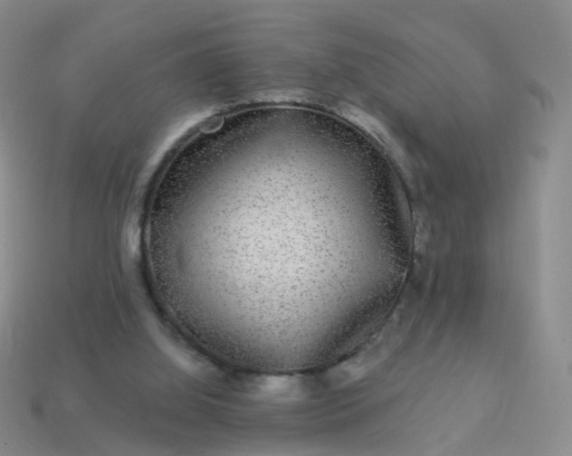 X0000113880060200910081755