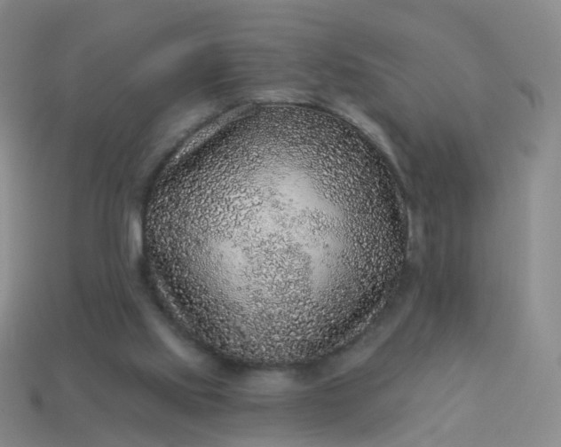 X0000113880061200910081755