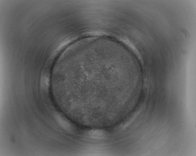 X0000113880063200910081755