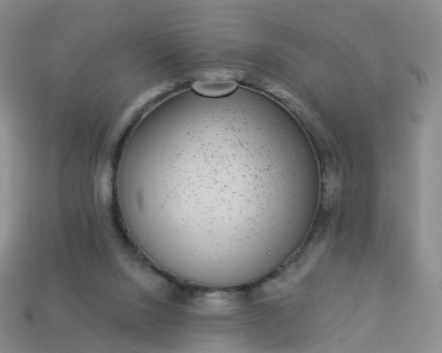 X0000113880064200910081755