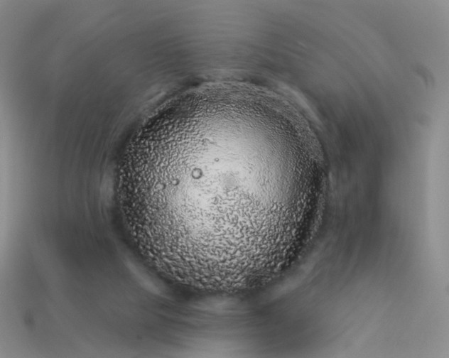 X0000113880065200910081755