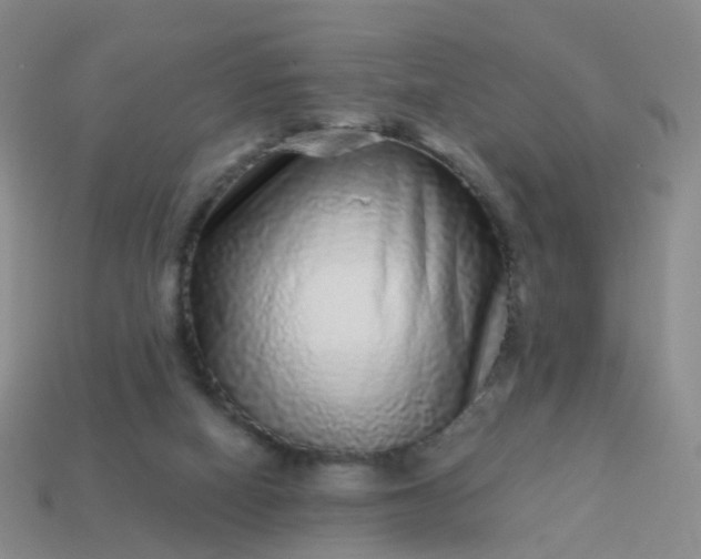 X0000113880066200910081755