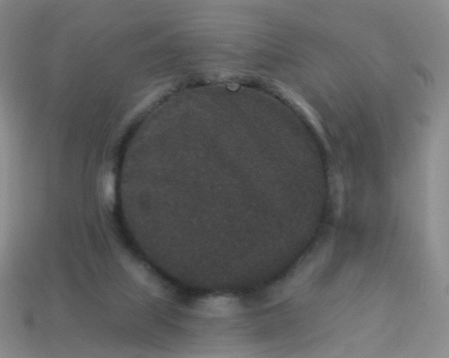 X0000113880067200910081755