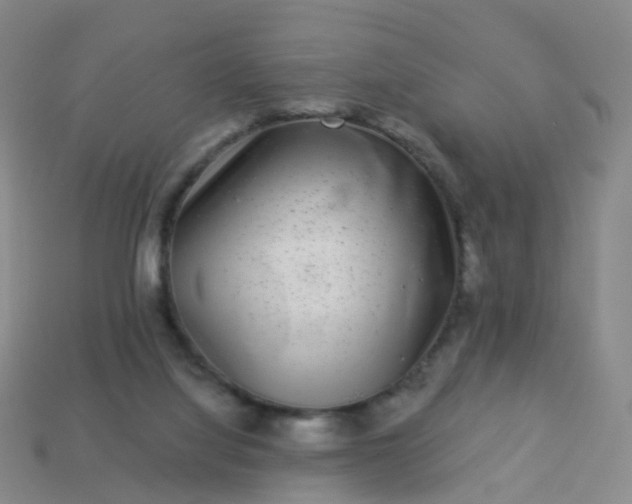 X0000113880068200910081755