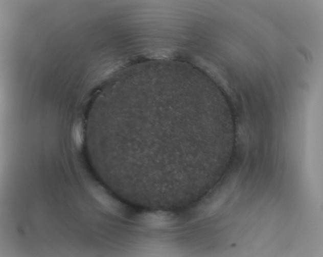 X0000113880069200910081755