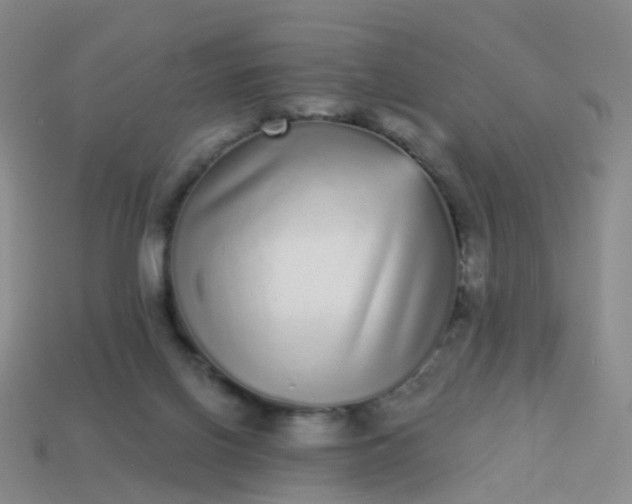 X0000113880070200910081755