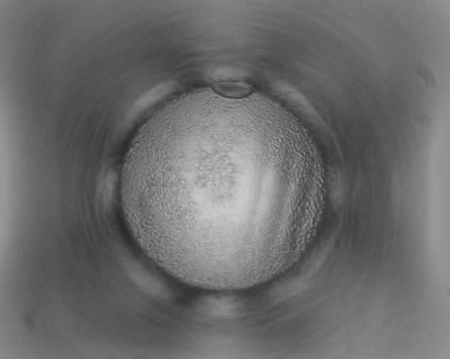 X0000113880071200910081755